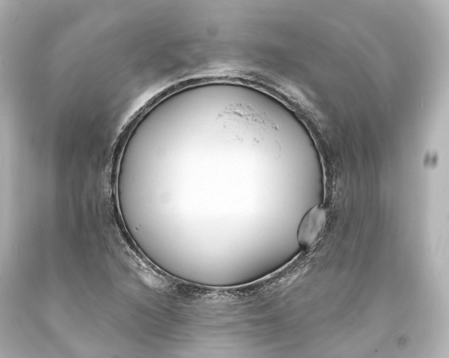 X0000094071216200711021501