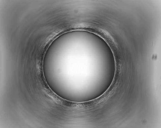 X0000094071217200711021501