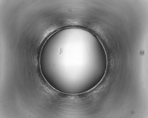 X0000094071218200711021501