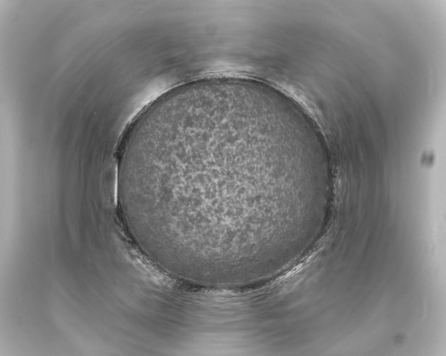 X0000094071219200711021501