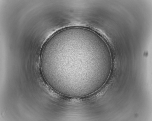 X0000094071220200711021501