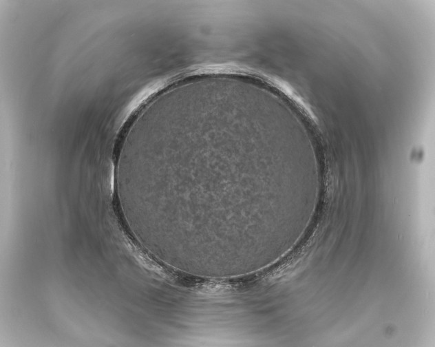 X0000094071221200711021501
