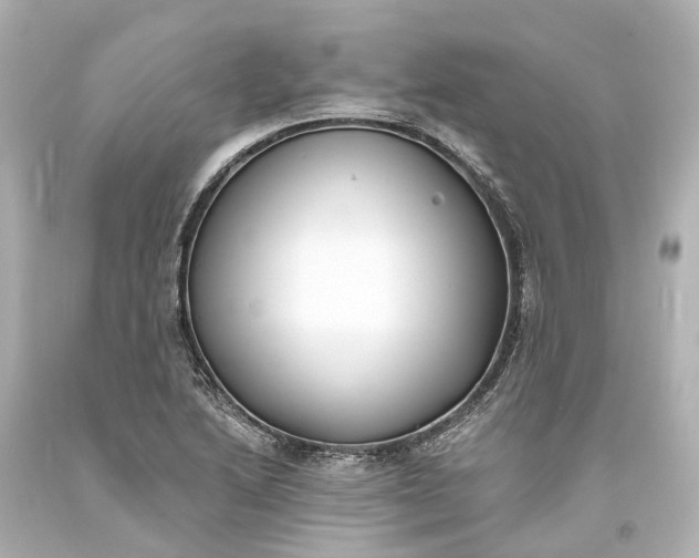 X0000094071222200711021501