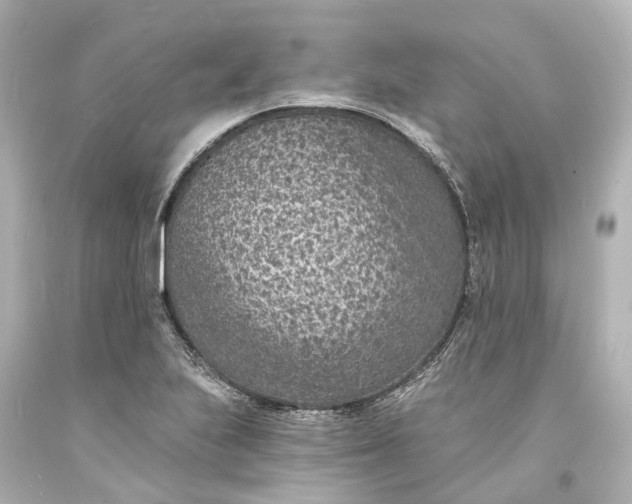 X0000094071223200711021501