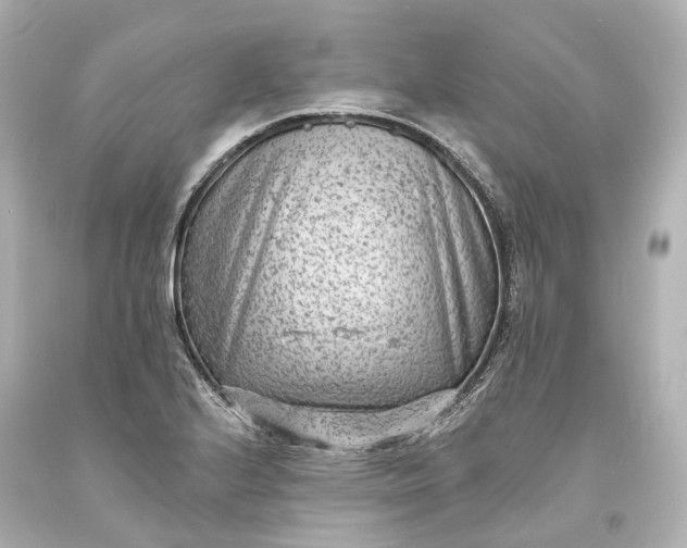 X0000094071224200711021501