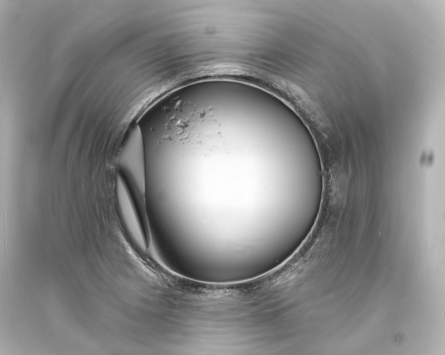 X0000094071225200711021501