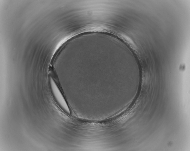 X0000094071226200711021501