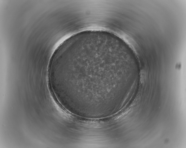 X0000094071229200711021501
