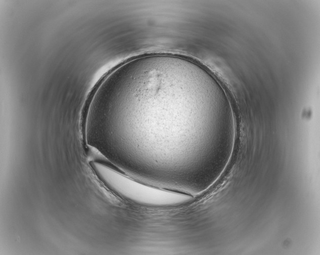 X0000094071230200711021501