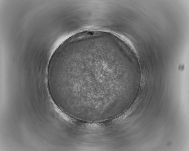 X0000094071231200711021502