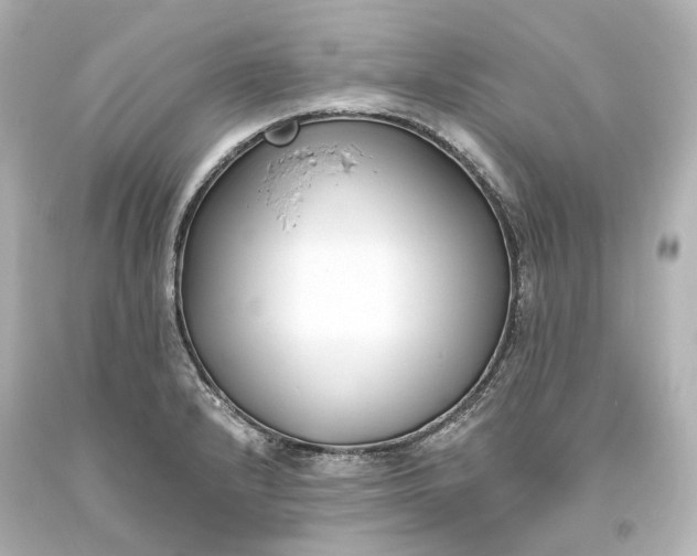 X0000094071232200711021502