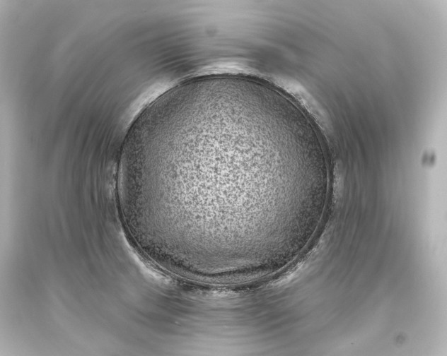 X0000094071233200711021502