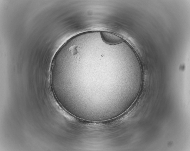 X0000094071236200711021502
