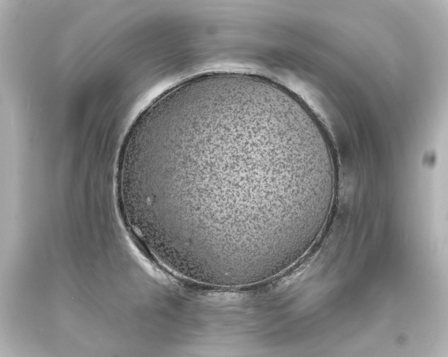 X0000094071237200711021502