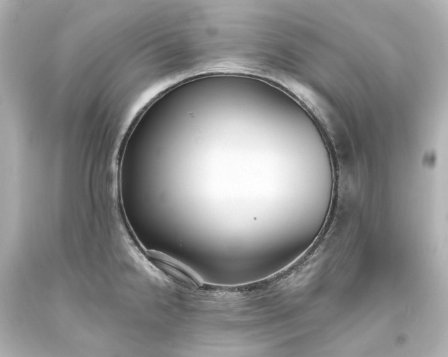 X0000094071238200711021502