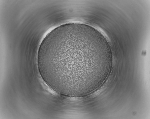 X0000094071240200711021502