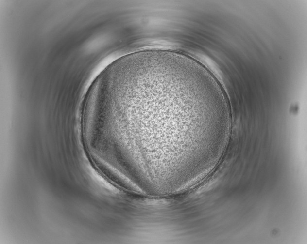 X0000094071243200711021502