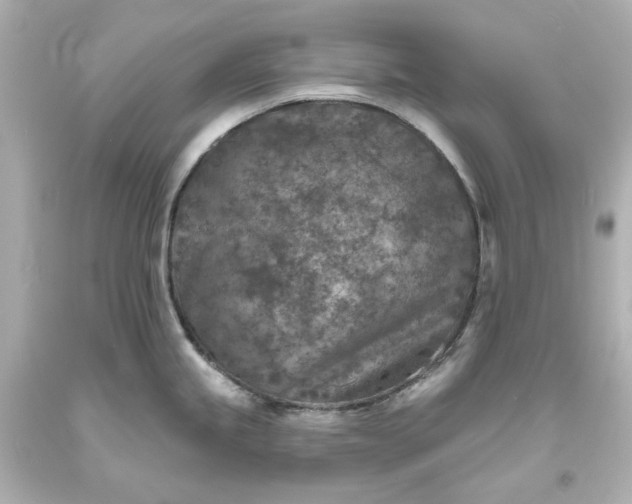 X0000094071245200711021502