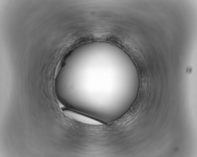 X0000094071249200711021501