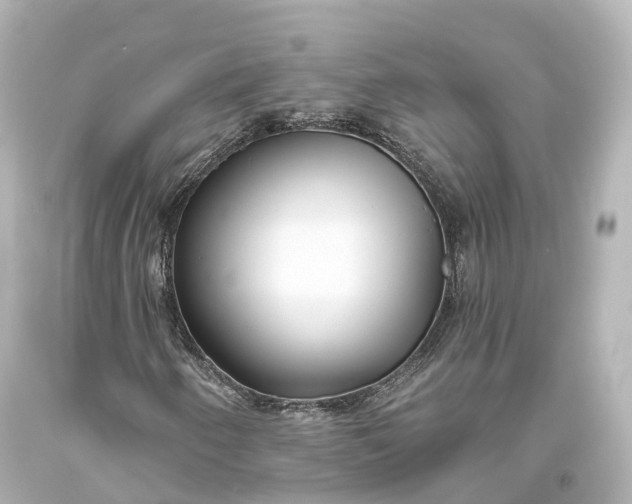 X0000094071250200711021501