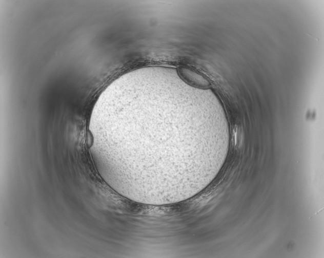 X0000094071251200711021501