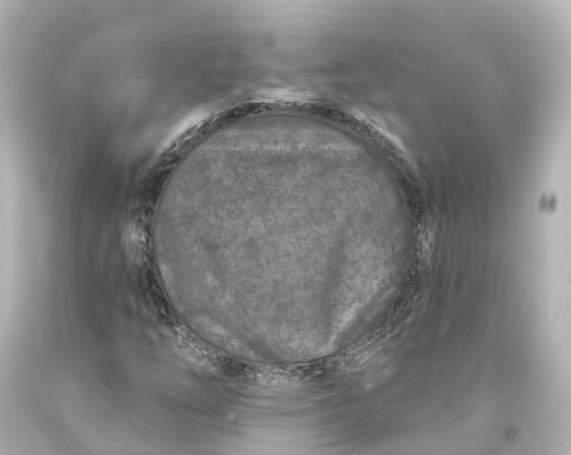 X0000094071254200711021501