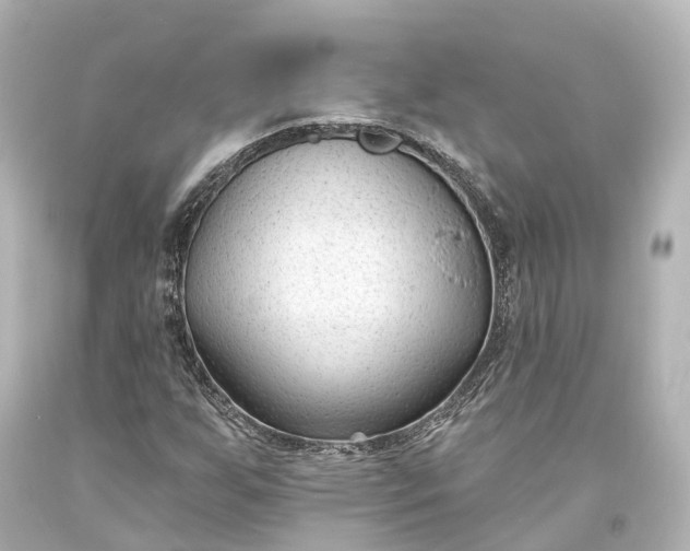 X0000094071255200711021501