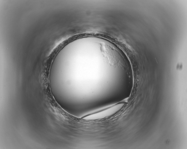 X0000094071256200711021501