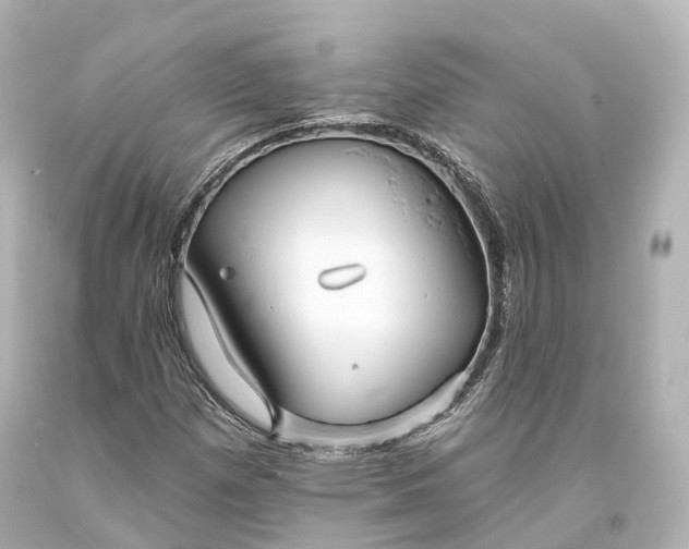 X0000094071257200711021501
