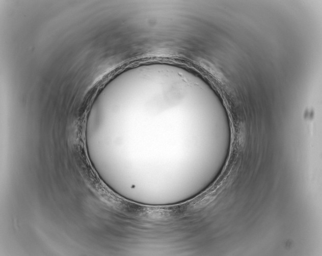 X0000094071258200711021501
