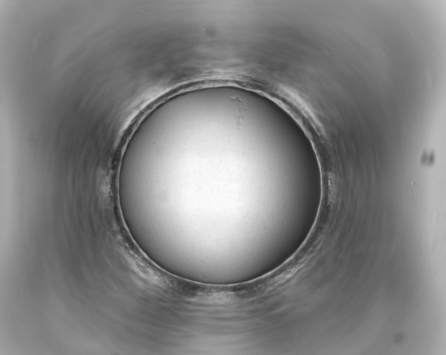 X0000094071260200711021501