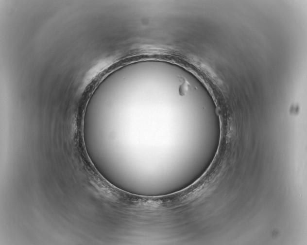 X0000094071261200711021501