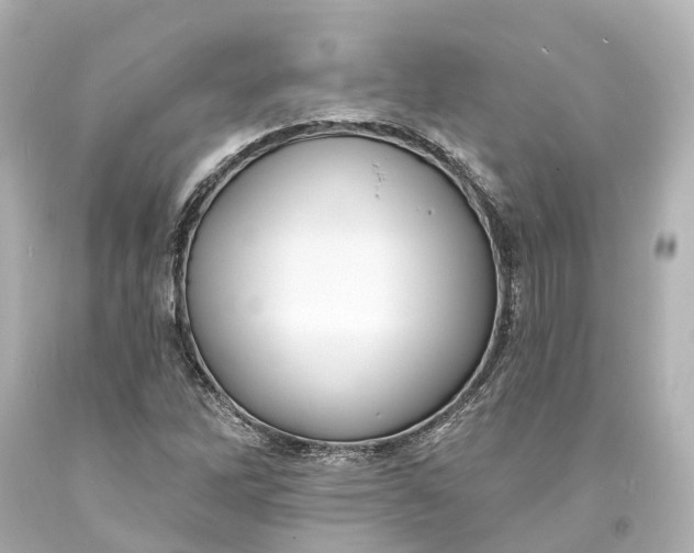 X0000094071262200711021501