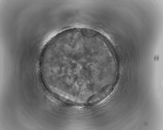 X0000094071263200711021501