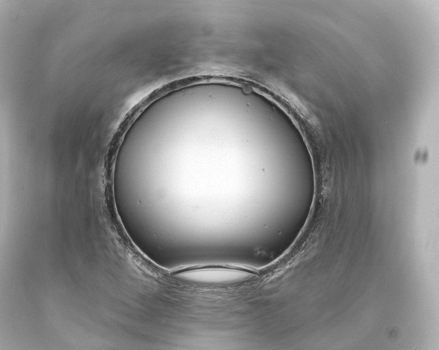 X0000094071264200711021501