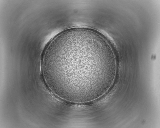 X0000094071269200711021501