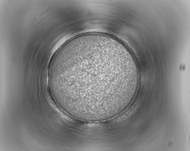 X0000094071274200711021501
