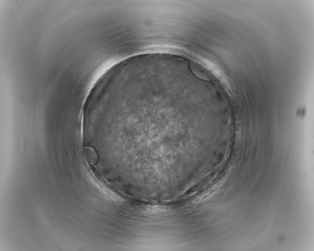 X0000094071275200711021501