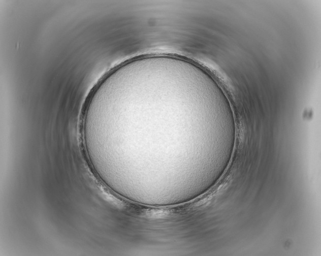 X0000094071278200711021501