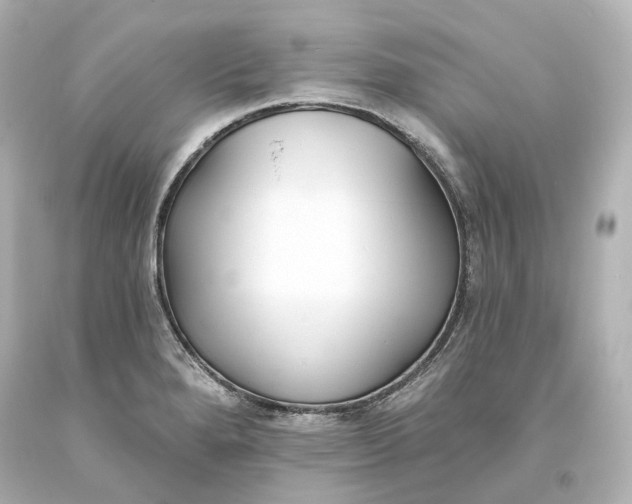 X0000094071280200711021501