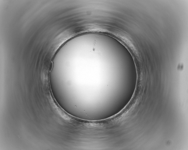X0000094071281200711021501