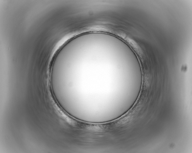 X0000094071286200711021500