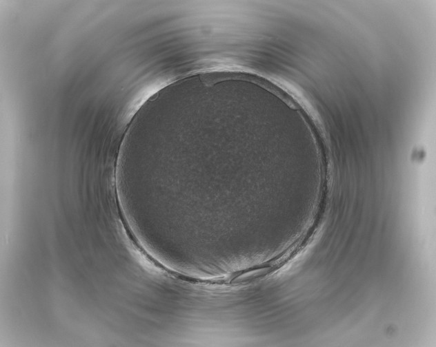 X0000094071289200711021500
