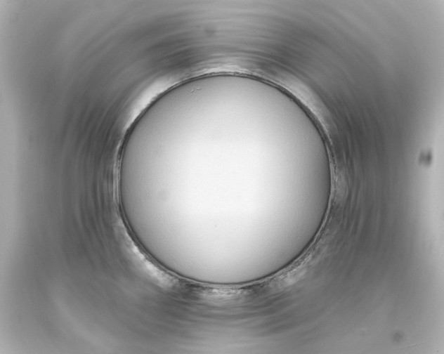 X0000094071290200711021500