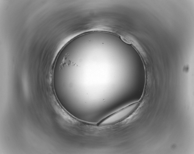 X0000094071292200711021500