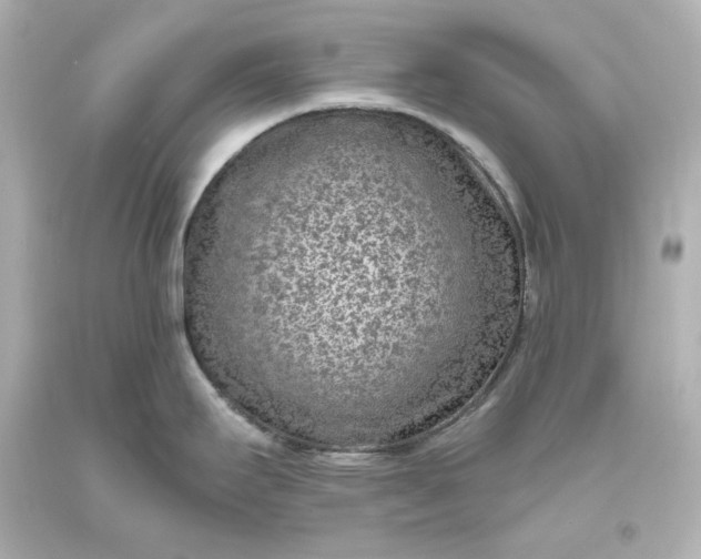 X0000094071295200711021500