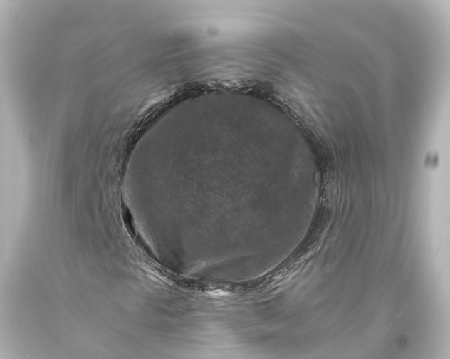 X0000094071297200711021500