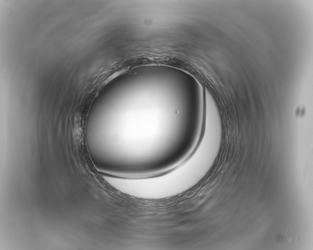 X0000094071298200711021500