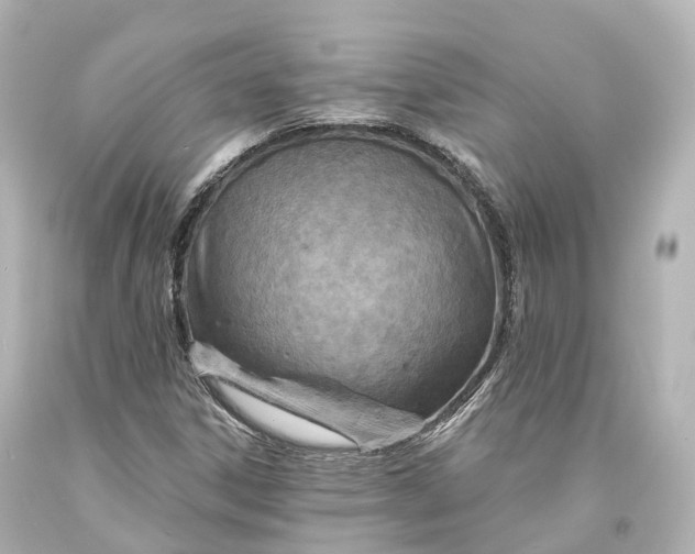 X0000094071306200711021500