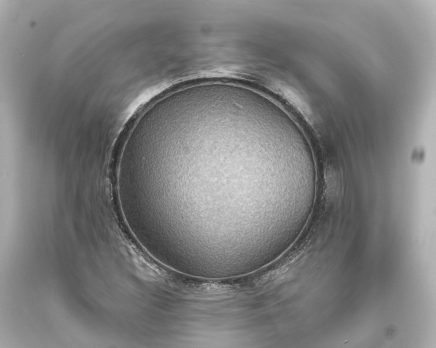 X0000094071308200711021500